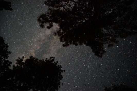 Chasing the Perseids: A Night Under the Stars at Burnt Rancheria