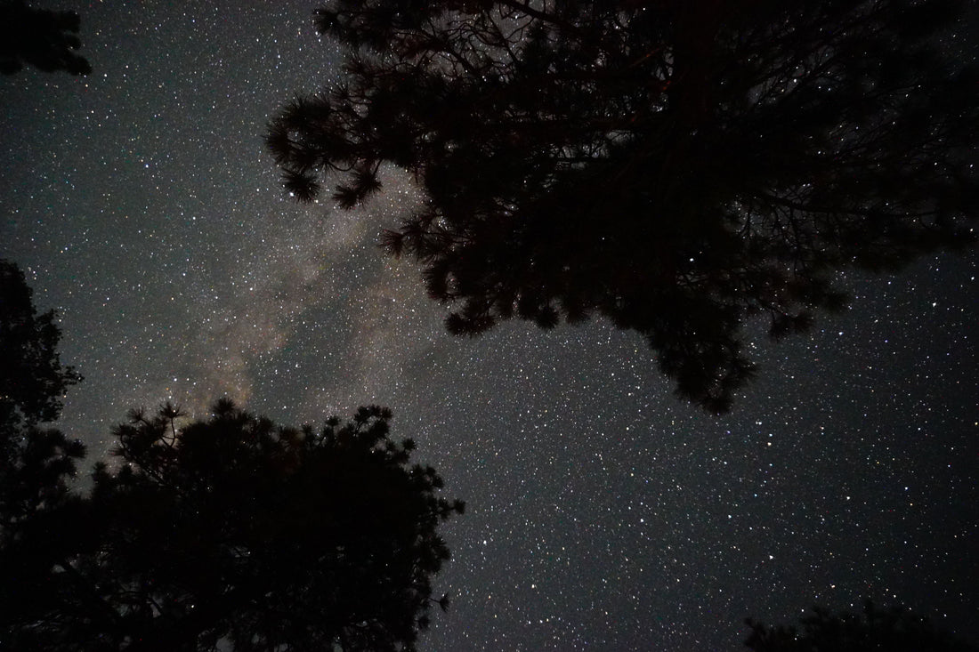 Chasing the Perseids: A Night Under the Stars at Burnt Rancheria