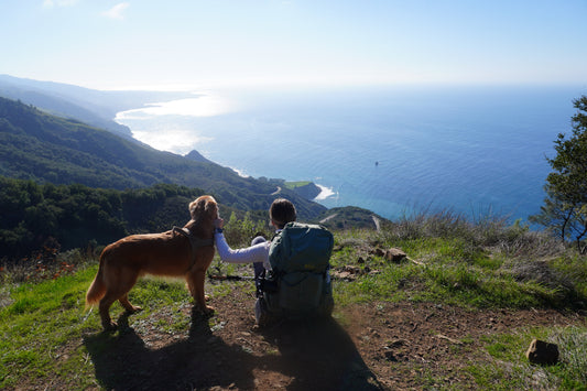 Backpacking Big Sur's Salmon Creek &amp; Buckeye Trail Loop: The Perfect Weekend Wilderness Escape